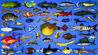 48 Sea Animals Basking Shark Pufferfish Orca Humpback Whale Angler Fish Sea Dragon Etc MN070 [upl. by Petr]