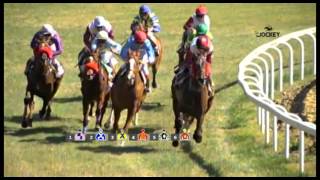 2 Carrera premio Soc Carreras de Caballos Sanlúcar 28 de febrero 2016  Gran Hipódromo Andalucía [upl. by Courtney]