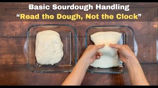 Basic Sourdough Handling  “Read the Dough Not the Clock” [upl. by Aylatan388]