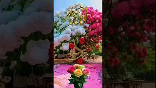 beautiful urdu barira naat newbeautifulnaatsharif youtubeshorts shortsviral [upl. by Enahpets135]