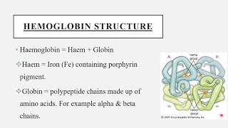 HEMOGLOBINStructure Synthesis and Function [upl. by Etiam]