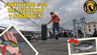 FishVlog 70 De Azoren 7 soorten vis [upl. by Allisirp]