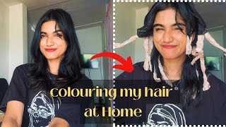 Colouring hair at Home 🏡🙎🏻‍♀️➡️👩‍🦰 Streax hair colour Vibrant blondeNavyahnavz [upl. by Frasch947]