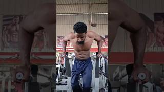 Bar dips better than yesterdaymotivation bodybuilding gym bardips shorts shortvideo [upl. by Atsuj]