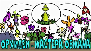 ОРХИДЕИ МАСТЕРА ЛЖИ ОБМАНА и ВОРОВСТВА ЭВОЛЮЦИЯ ОРХИДЕЙ [upl. by Adela224]