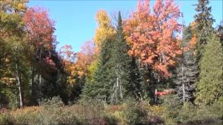 Kayaking between the Upper and Lower Tahquamenon Falls [upl. by Nogaem]