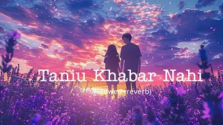 Taniu Khabar Nahi Slowedreverb2024 Song With adityainthemix [upl. by Inanuah]