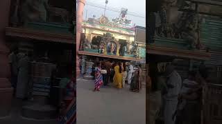 Palani Murugan temple [upl. by Allemac]