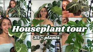 Houseplant tour 2024 35 plants Rare amp Common species [upl. by Schubert]