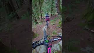 Free riding with mountain bikes explained [upl. by Filip]