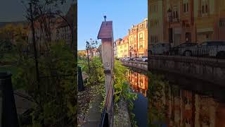 Wissembourg france walking tour [upl. by Storfer895]