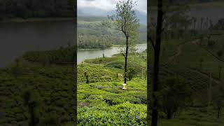 Megamalai 😍🏞️Tourist spot ✨💖Near madurai 🙋😊Beautiful Nature🎊 [upl. by Anaiad]