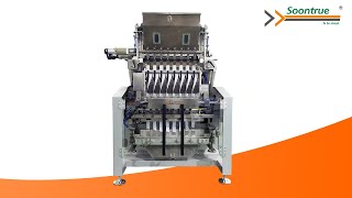 High Speed Deoxidizer Multilane Packing MachineSoontrue Packing Machinery [upl. by Jeromy]