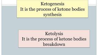 Ketone bodies metabolism [upl. by Turk]