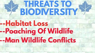 Threats To Biodiversity  Habitat Loss  Poaching Of Wildlife  Man Wildlife Conflicts [upl. by Nauqyaj297]