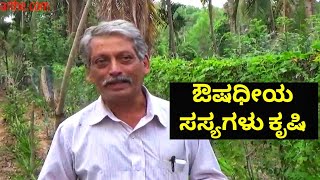 ಔಷಧೀಯ ಸಸ್ಯಗಳು ಕೃಷಿ  Medicinal Plants Cultivation [upl. by Rumilly258]