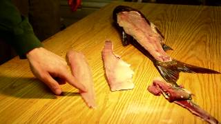 Filleting Silver Asian Carp Boneless [upl. by Adnawed]