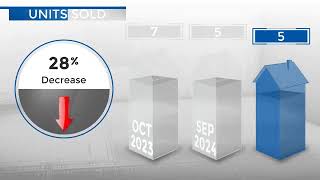 NederlandCO Real Estate Market Update from REMAX AllianceNovember 2024 [upl. by Ettesus]