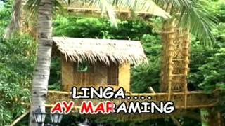 Bahay Kubo By Mga Munting Bituin with Lyrics [upl. by Flight]