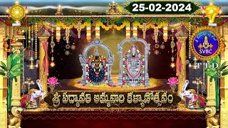 Sri Padmavathi Ammavari Kalyanotsavam  Tiruchanoor  25022024  SVBC TTD [upl. by Frank649]