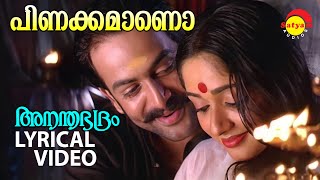 Pinakkamaano Ennodinakkamano  Lyrical Video Song  Ananthabhadram  Prithviraj  Kavya Madhavan [upl. by Pollie]