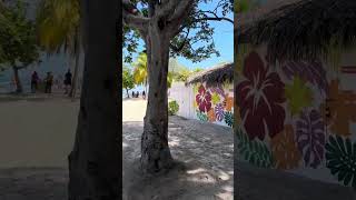 Labadee Haiti parte privada solo de Royal Caribbean crucero labaddehaiti [upl. by Fronniah]