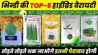 Bhindi की टॉप  5 Vatiety  bhindi ki new hybrid variety  Okra seeds bhindi ki kheti [upl. by Saimerej]