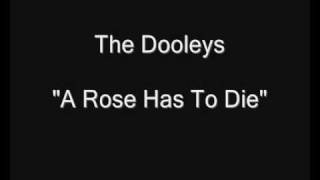 The Dooleys  A Rose Has To Die HQ Audio [upl. by Bj]