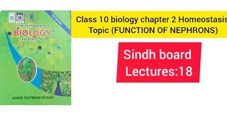 Class 10 biology chapter 2 Homeostasis topic FUNCTION OF NEPHRONS easily explain [upl. by Judie]