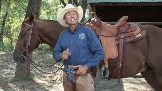 Ride Smart with Craig Cameron Colt Start with Ty Murray Pt 5 [upl. by Downe]