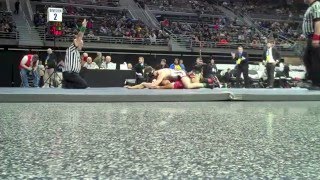 MHSAA State Wrestling Championships [upl. by Cuttler]