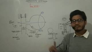 L13 Chemiosmotic Hypothesis by Peter Mitchell ATP synthesis by FoF1 particle [upl. by Pembroke507]