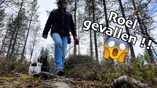 Roel gevallen [upl. by Graeme111]