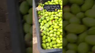 En tazeleriyle bugün Uşak Perşembe ATAPARK sigorta pazarındayız 🙂 reels sarma üzüm zeytin [upl. by Morten]