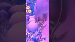 Part 9  Finding DORY in Hindi  Disney Animation Movie shorts ytshorts movies [upl. by Sillad410]