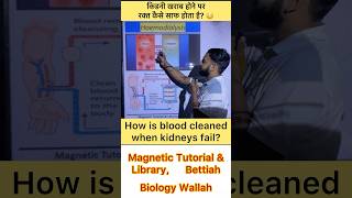 Hemodialysis Class 10  How is blood cleaned after kidney failure  biology shorts viralvideo [upl. by Innej218]