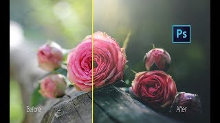 Photoshop How To Edit Macro Photography in Photoshop CC [upl. by Dranel]