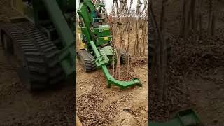 Tree Lifting Machine  Rootballing machine in action  ಭೂಮಿಯಿಂದ ಮರ ಎತ್ತುವ ಯಂತ್ರ shorts [upl. by Aroda]