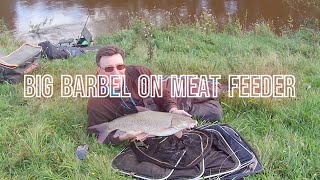 Unlocking the Secret to Catching Massive Barbel with the Cage Feeder [upl. by Stacia]