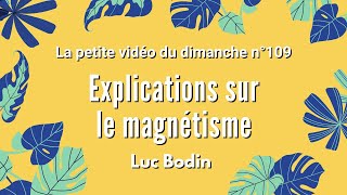 EXPLICATIONS SUR LE MAGNÉTISME  La petite vidéo du dimanche n°109 [upl. by Coonan]