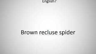 How to say Brown recluse spider in English [upl. by Uwkuhceki776]