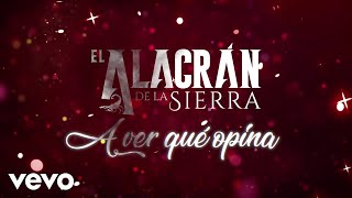 El Alacrán De La Sierra  A Ver Qué Opina LETRA [upl. by Idoj198]