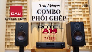 Bản Phối Mê Đắm Từ ROTEL A14 vs DALI OPTICON 2 MKII 🤩 [upl. by Robert]