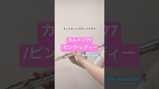 カルメン77ピンク・レディー【演奏してみた】【フルート】 [upl. by Esertak669]