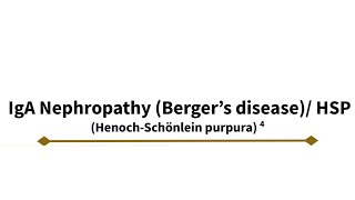 IgA Nephropathy  Berger’s disease [upl. by Airbas478]