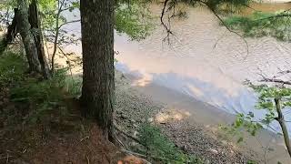 Kouchibouguac National Park — ClaireFontaine Hiking Trail [upl. by Tnarb578]