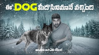 MOST HEROIC ANIMAL OF ALL TIME TOGO  TELUGU FACTS  V R RAJA [upl. by Dee Dee]