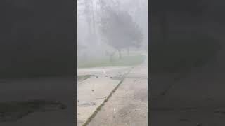 Mandeville resident captures wild video of wind hail from storm that damaged area [upl. by Ydnir]