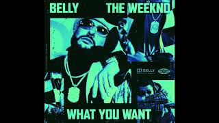 Belly  What You Want feat The Weeknd Slowed  Reverb [upl. by Melmon]