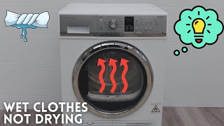 Fix Fisher Paykel Dryer Not Heating Wet Clothes Easy [upl. by Tavi]